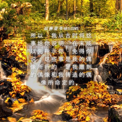Picture 04 - 以 赛 亚 书 48:5 CUVS - 所 以 ， 我 从 古 时 将 这 事 给 你 - Bible Verse Picture