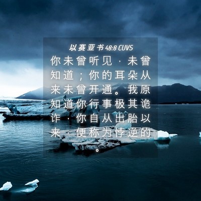 Picture 04 - 以 赛 亚 书 48:8 CUVS - 你 未 曾 听 见 ， 未 曾 知 道 ； 你 - Bible Verse Picture