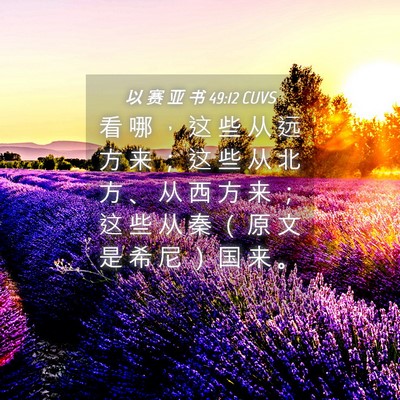 Picture 04 - 以 赛 亚 书 49:12 CUVS - 看 哪 ， 这 些 从 远 方 来 ； 这 些 - Bible Verse Picture