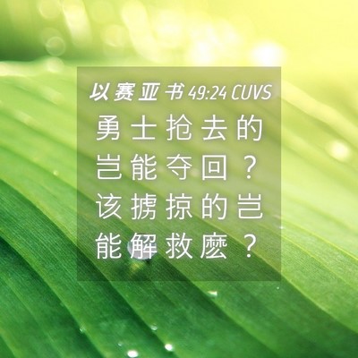 Picture 04 - 以 赛 亚 书 49:24 CUVS - 勇 士 抢 去 的 岂 能 夺 回 ？ 该 掳 - Bible Verse Picture