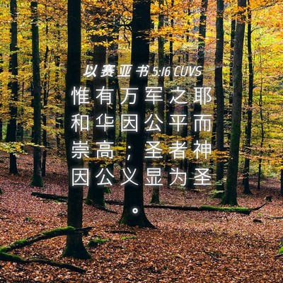 Picture 04 - 以 赛 亚 书 5:16 CUVS - 惟 有 万 军 之 耶 和 华 因 公 平 而 - Bible Verse Picture