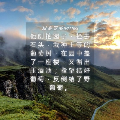 Picture 04 - 以 赛 亚 书 5:2 CUVS - 他 刨 挖 园 子 ， 捡 去 石 头 ， 栽 - Bible Verse Picture