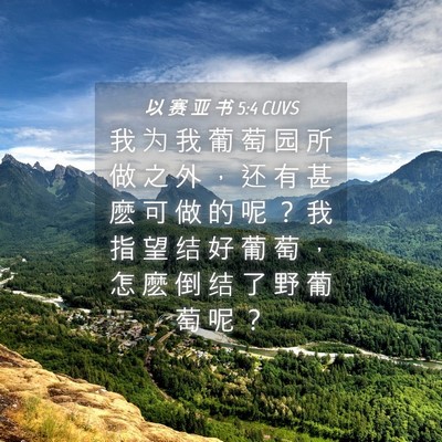 Picture 04 - 以 赛 亚 书 5:4 CUVS - 我 为 我 葡 萄 园 所 做 之 外 ， 还 - Bible Verse Picture