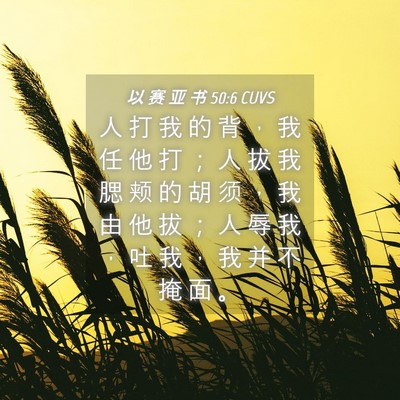 Picture 04 - 以 赛 亚 书 50:6 CUVS - 人 打 我 的 背 ， 我 任 他 打 ； 人 - Bible Verse Picture