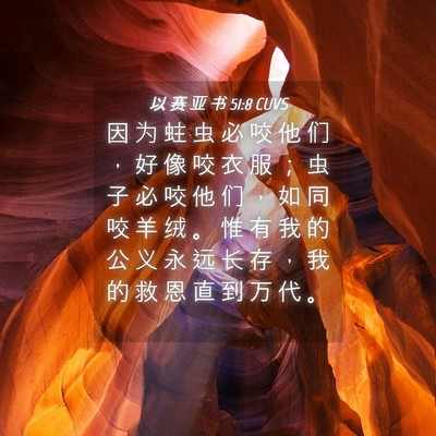 Picture 04 - 以 赛 亚 书 51:8 CUVS - 因 为 蛀 虫 必 咬 他 们 ， 好 像 咬 - Bible Verse Picture