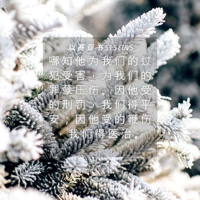 Picture 04 - 以 赛 亚 书 53:5 CUVS - 哪 知 他 为 我 们 的 过 犯 受 害 ， - Bible Verse Picture