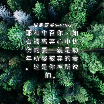 Picture 04 - 以 赛 亚 书 54:6 CUVS - 耶 和 华 召 你 ， 如 召 被 离 弃 心 - Bible Verse Picture