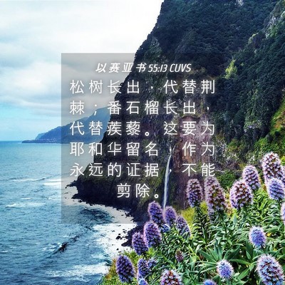 Picture 04 - 以 赛 亚 书 55:13 CUVS - 松 树 长 出 ， 代 替 荆 棘 ； 番 石 - Bible Verse Picture