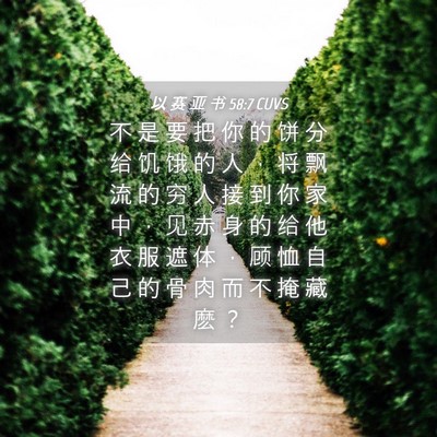 Picture 04 - 以 赛 亚 书 58:7 CUVS - 不 是 要 把 你 的 饼 分 给 饥 饿 的 - Bible Verse Picture