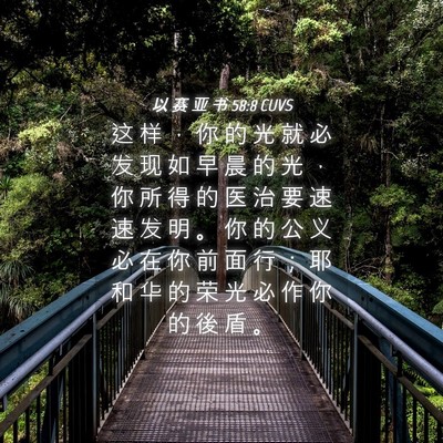 Picture 04 - 以 赛 亚 书 58:8 CUVS - 这 样 ， 你 的 光 就 必 发 现 如 早 - Bible Verse Picture