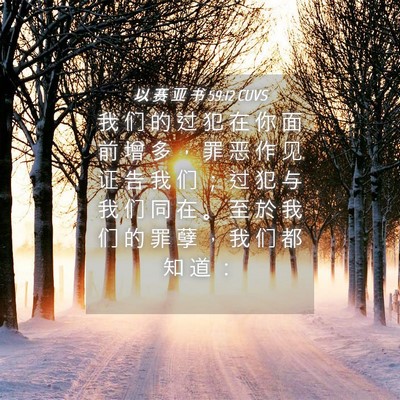Picture 04 - 以 赛 亚 书 59:12 CUVS - 我 们 的 过 犯 在 你 面 前 增 多 ， - Bible Verse Picture