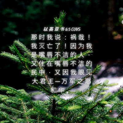 Picture 04 - 以 赛 亚 书 6:5 CUVS - 那 时 我 说 ： 祸 哉 ！ 我 灭 亡 了 - Bible Verse Picture