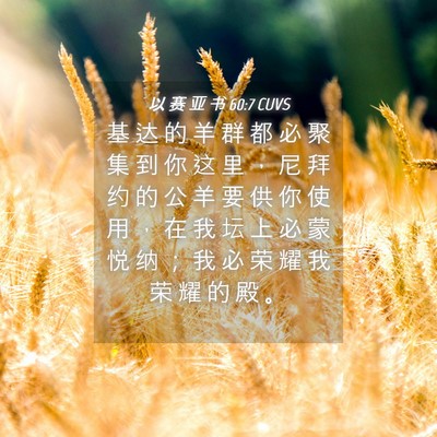 Picture 04 - 以 赛 亚 书 60:7 CUVS - 基 达 的 羊 群 都 必 聚 集 到 你 这 - Bible Verse Picture