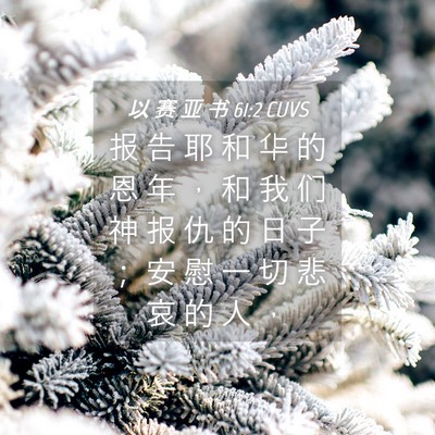 Picture 04 - 以 赛 亚 书 61:2 CUVS - 报 告 耶 和 华 的 恩 年 ， 和 我 们 - Bible Verse Picture