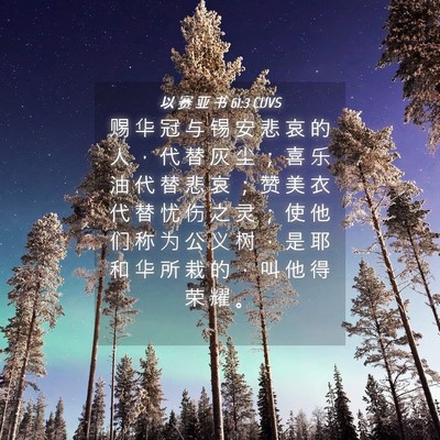 Picture 04 - 以 赛 亚 书 61:3 CUVS - 赐 华 冠 与 锡 安 悲 哀 的 人 ， 代 - Bible Verse Picture
