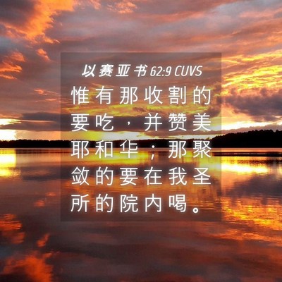 Picture 04 - 以 赛 亚 书 62:9 CUVS - 惟 有 那 收 割 的 要 吃 ， 并 赞 美 - Bible Verse Picture