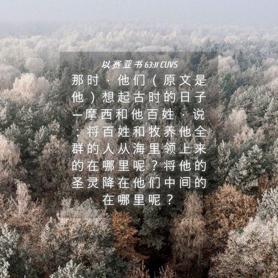 Picture 04 - 以 赛 亚 书 63:11 CUVS - 那 时 ， 他 们 （ 原 文 是 他 ） 想 - Bible Verse Picture