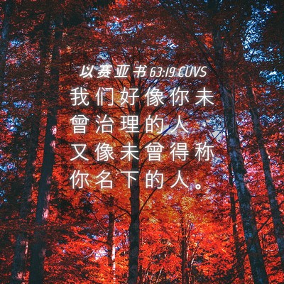 Picture 04 - 以 赛 亚 书 63:19 CUVS - 我 们 好 像 你 未 曾 治 理 的 人 ， - Bible Verse Picture