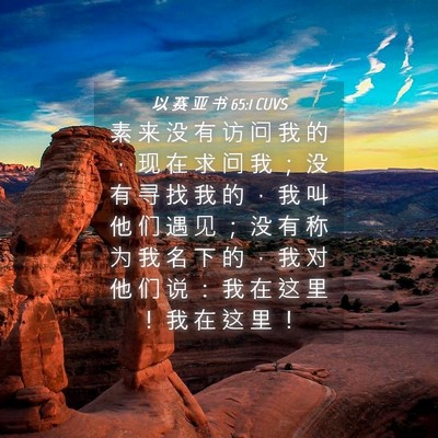 Picture 04 - 以 赛 亚 书 65:1 CUVS - 素 来 没 有 访 问 我 的 ， 现 在 求 - Bible Verse Picture