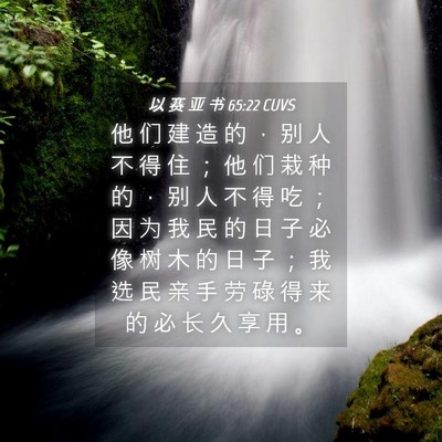 Picture 04 - 以 赛 亚 书 65:22 CUVS - 他 们 建 造 的 ， 别 人 不 得 住 ； - Bible Verse Picture