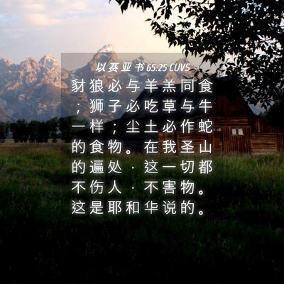 Picture 04 - 以 赛 亚 书 65:25 CUVS - 豺 狼 必 与 羊 羔 同 食 ； 狮 子 必 - Bible Verse Picture