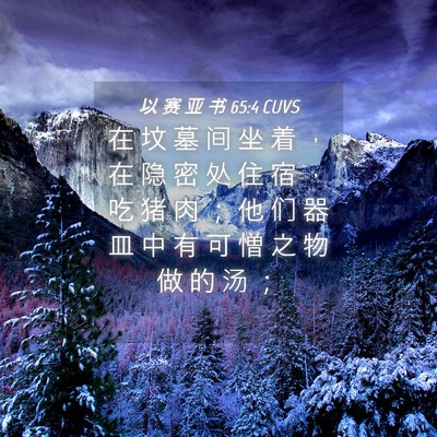 Picture 04 - 以 赛 亚 书 65:4 CUVS - 在 坟 墓 间 坐 着 ， 在 隐 密 处 住 - Bible Verse Picture