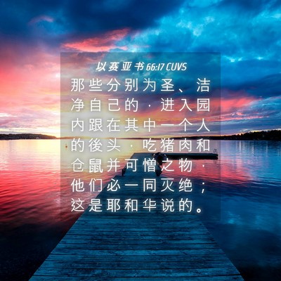 Picture 04 - 以 赛 亚 书 66:17 CUVS - 那 些 分 别 为 圣 、 洁 净 自 己 的 - Bible Verse Picture