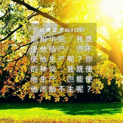 Picture 04 - 以 赛 亚 书 66:9 CUVS - 耶 和 华 说 ： 我 既 使 他 临 产 ， - Bible Verse Picture