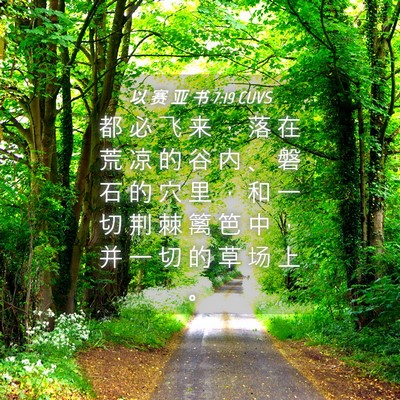 Picture 04 - 以 赛 亚 书 7:19 CUVS - 都 必 飞 来 ， 落 在 荒 凉 的 谷 内 - Bible Verse Picture