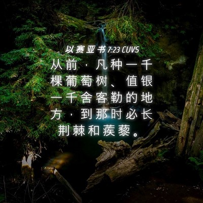 Picture 04 - 以 赛 亚 书 7:23 CUVS - 从 前 ， 凡 种 一 千 棵 葡 萄 树 、 - Bible Verse Picture