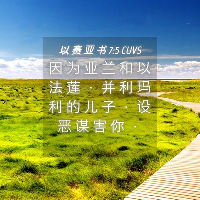 Picture 04 - 以 赛 亚 书 7:5 CUVS - 因 为 亚 兰 和 以 法 莲 ， 并 利 玛 - Bible Verse Picture