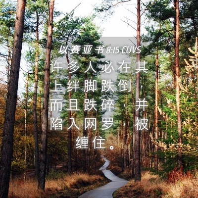Picture 04 - 以 赛 亚 书 8:15 CUVS - 许 多 人 必 在 其 上 绊 脚 跌 倒 ， - Bible Verse Picture