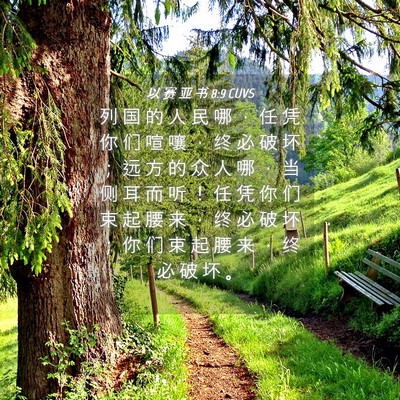 Picture 04 - 以 赛 亚 书 8:9 CUVS - 列 国 的 人 民 哪 ， 任 凭 你 们 喧 - Bible Verse Picture