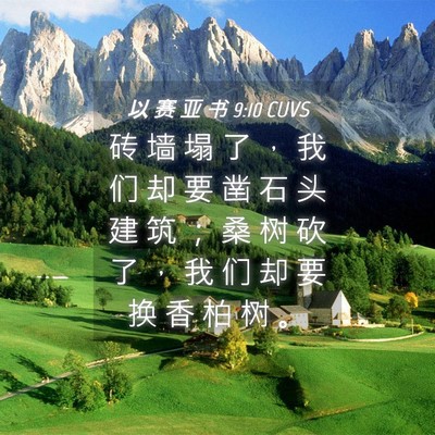 Picture 04 - 以 赛 亚 书 9:10 CUVS - 砖 墙 塌 了 ， 我 们 却 要 凿 石 头 - Bible Verse Picture