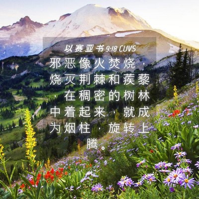 Picture 04 - 以 赛 亚 书 9:18 CUVS - 邪 恶 像 火 焚 烧 ， 烧 灭 荆 棘 和 - Bible Verse Picture