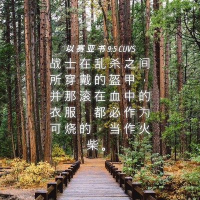 Picture 04 - 以 赛 亚 书 9:5 CUVS - 战 士 在 乱 杀 之 间 所 穿 戴 的 盔 - Bible Verse Picture