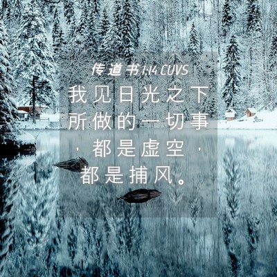 Picture 04 - 传 道 书 1:14 CUVS - 我 见 日 光 之 下 所 做 的 一 切 事 - Bible Verse Picture
