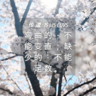 Picture 04 - 传 道 书 1:15 CUVS - 弯 曲 的 ， 不 能 变 直 ； 缺 少 的 - Bible Verse Picture