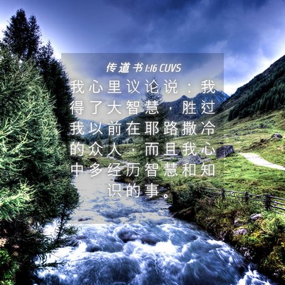 Picture 04 - 传 道 书 1:16 CUVS - 我 心 里 议 论 说 ： 我 得 了 大 智 - Bible Verse Picture