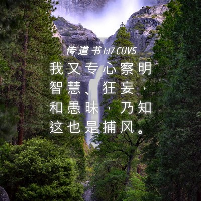 Picture 04 - 传 道 书 1:17 CUVS - 我 又 专 心 察 明 智 慧 、 狂 妄 ， - Bible Verse Picture