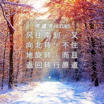 Picture 04 - 传 道 书 1:6 CUVS - 风 往 南 刮 ， 又 向 北 转 ， 不 住 - Bible Verse Picture