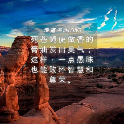 Picture 04 - 传 道 书 10:1 CUVS - 死 苍 蝇 使 做 香 的 膏 油 发 出 臭 - Bible Verse Picture
