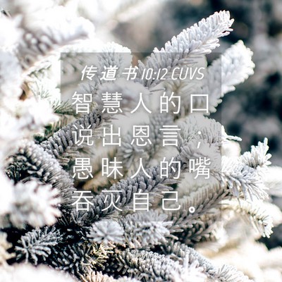 Picture 04 - 传 道 书 10:12 CUVS - 智 慧 人 的 口 说 出 恩 言 ； 愚 昧 - Bible Verse Picture