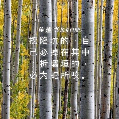 Picture 04 - 传 道 书 10:8 CUVS - 挖 陷 坑 的 ， 自 己 必 掉 在 其 中 - Bible Verse Picture