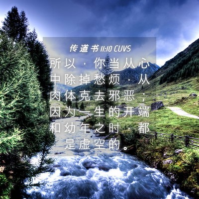 Picture 04 - 传 道 书 11:10 CUVS - 所 以 ， 你 当 从 心 中 除 掉 愁 烦 - Bible Verse Picture
