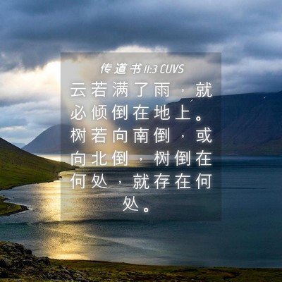 Picture 04 - 传 道 书 11:3 CUVS - 云 若 满 了 雨 ， 就 必 倾 倒 在 地 - Bible Verse Picture