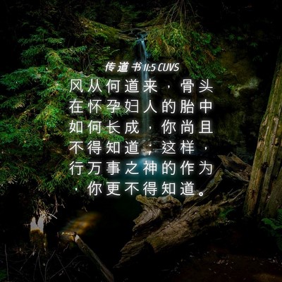 Picture 04 - 传 道 书 11:5 CUVS - 风 从 何 道 来 ， 骨 头 在 怀 孕 妇 - Bible Verse Picture
