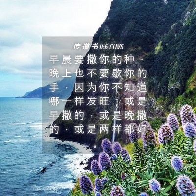 Picture 04 - 传 道 书 11:6 CUVS - 早 晨 要 撒 你 的 种 ， 晚 上 也 不 - Bible Verse Picture