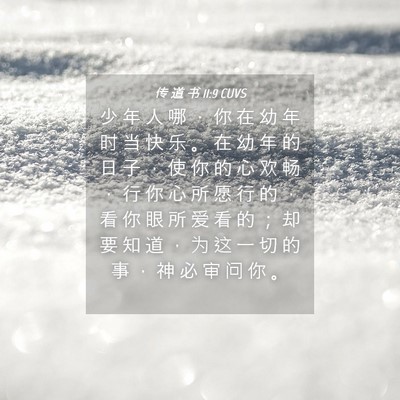 Picture 04 - 传 道 书 11:9 CUVS - 少 年 人 哪 ， 你 在 幼 年 时 当 快 - Bible Verse Picture