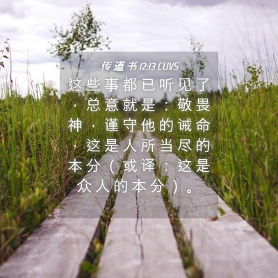 Picture 04 - 传 道 书 12:13 CUVS - 这 些 事 都 已 听 见 了 ， 总 意 就 - Bible Verse Picture